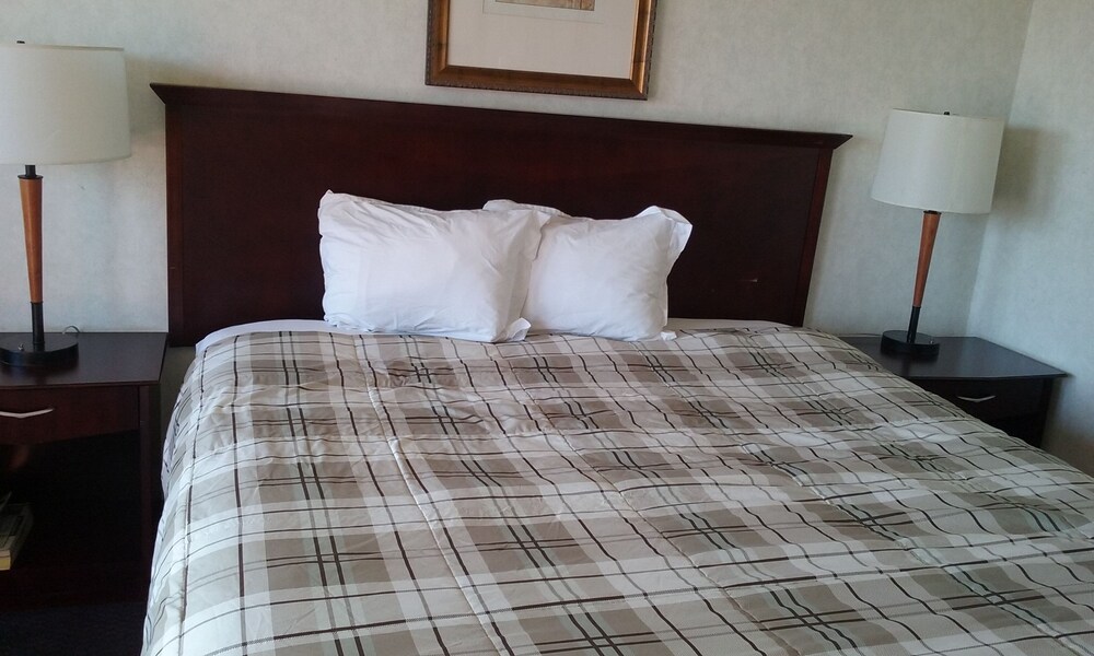 Richland Inn and Suites - photo 13