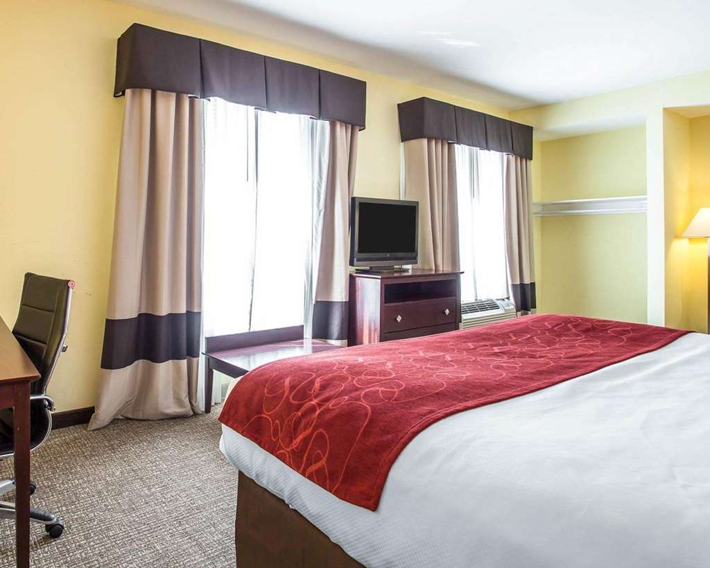 Comfort Suites Rock Hill Manchester Meadows Area - photo 11