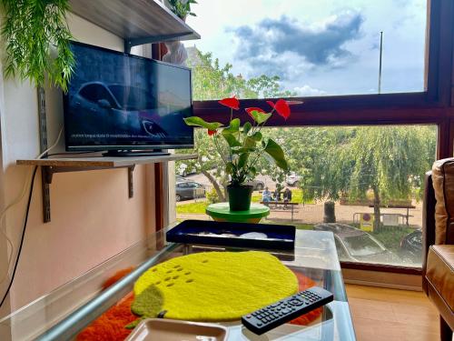 Le Studio du Duc by Mathilde in Fecamp, France