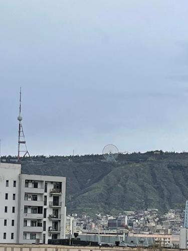 ბინა131