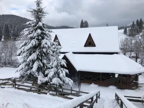 Trembita готель — hotel in Yablunytsya