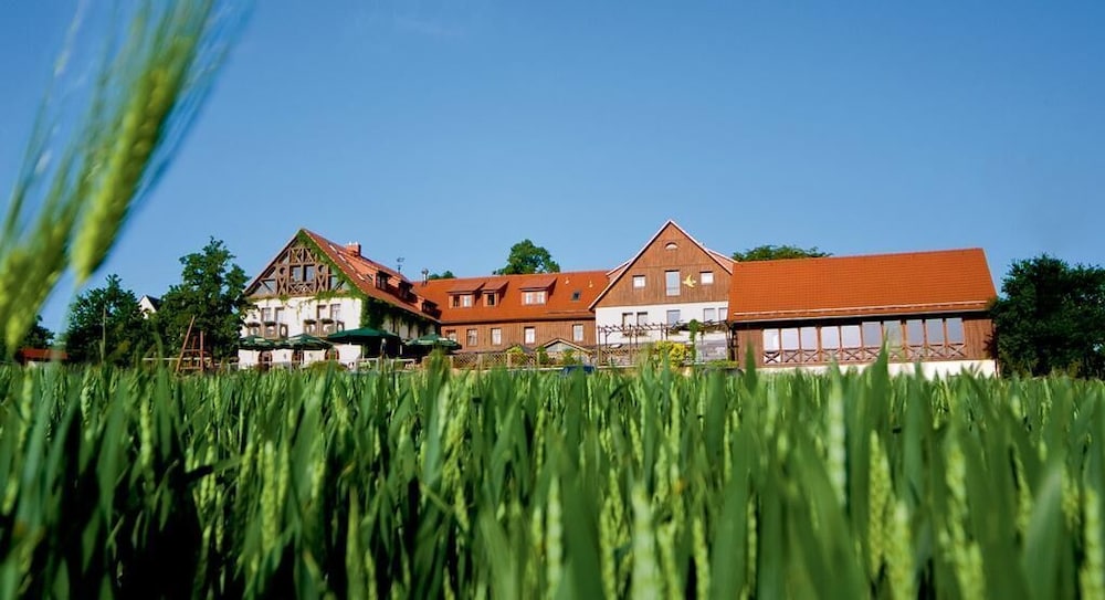 Hotel Neue Höhe — hotel in Klingenberg Am Main