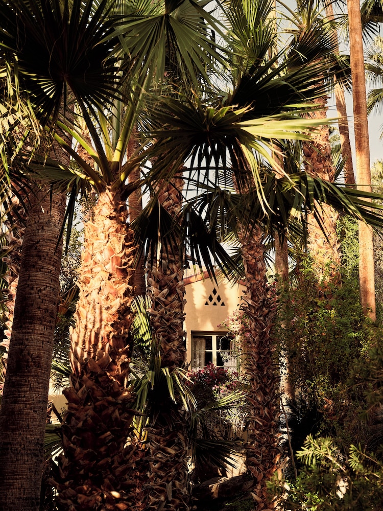 The Willows Palm Springs - photo 101