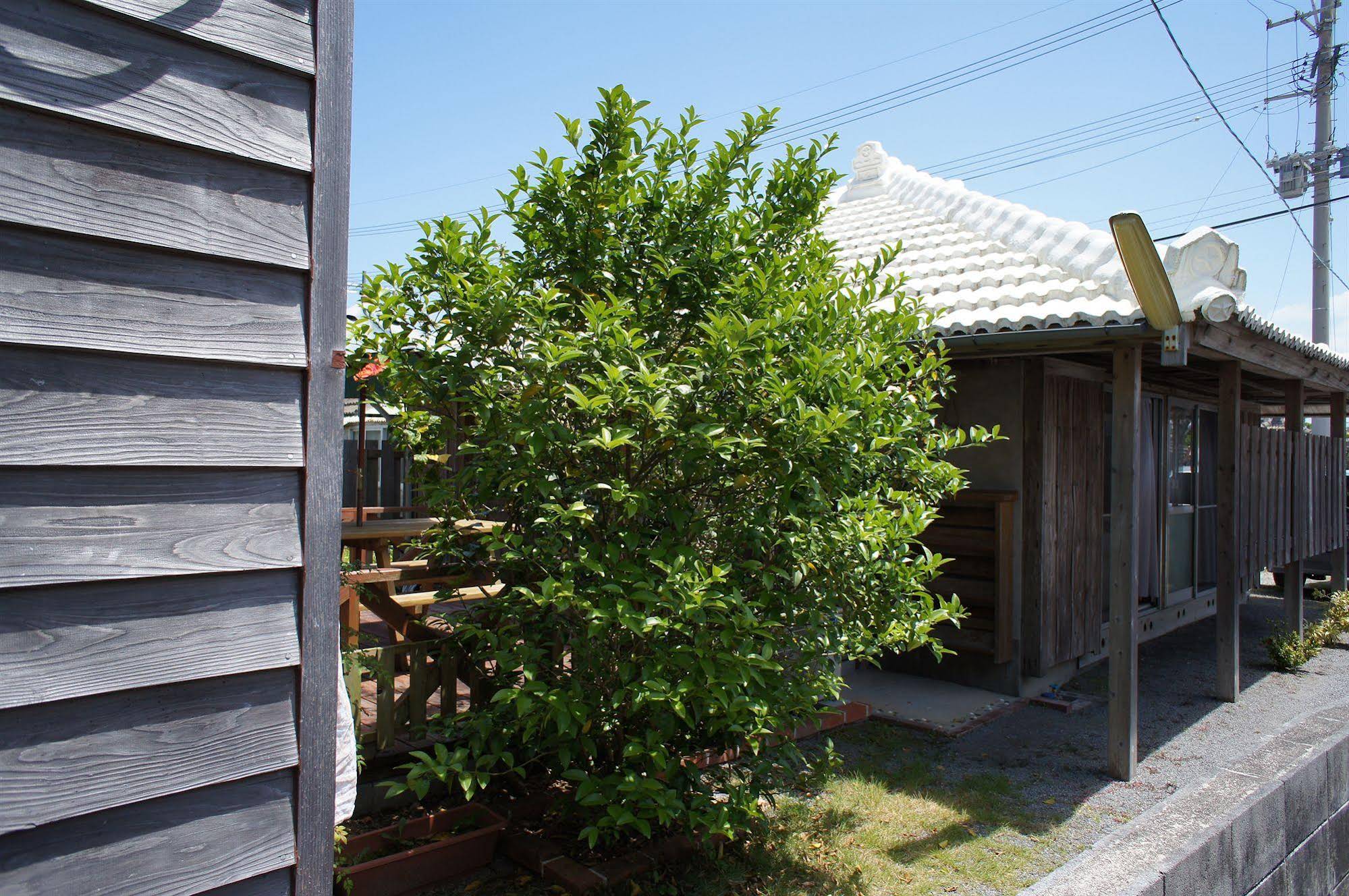 Imincyu in Nago, Japan