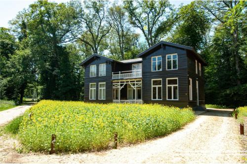 In het huis van Bello in Deventer, Netherlands