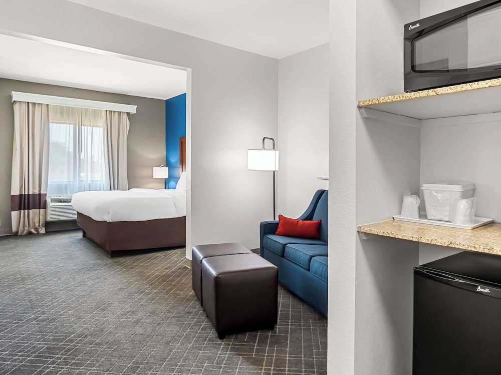 Comfort Suites Lindale Tyler North - photo 18