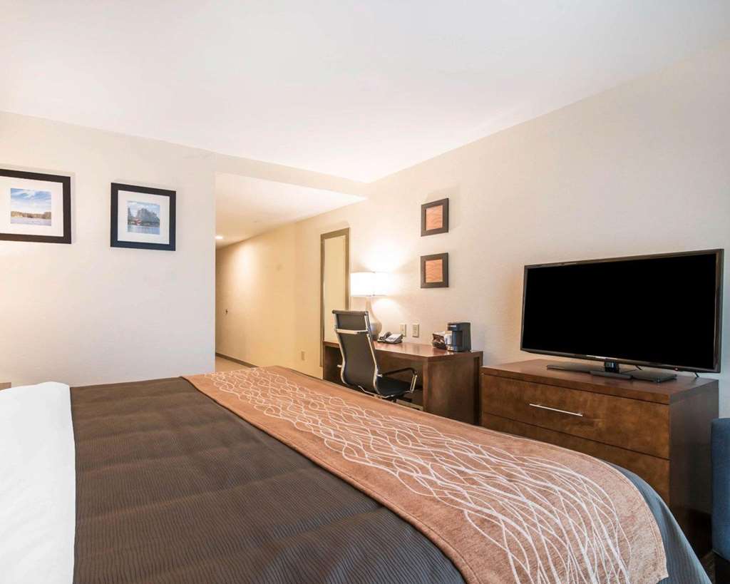Comfort Inn & Suites Brattleboro I 91 - photo 11