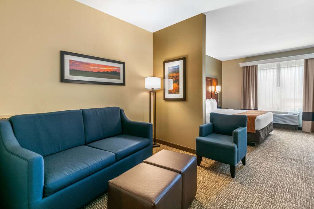 Comfort Suites Forrest City - photo 26