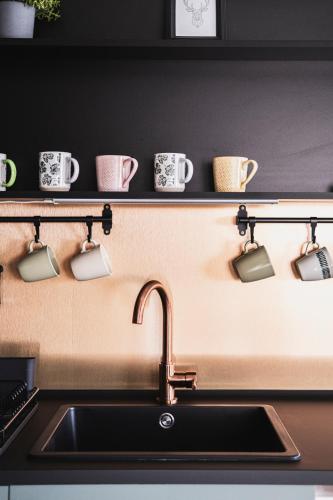 Borovilla in Veroce, Hungary