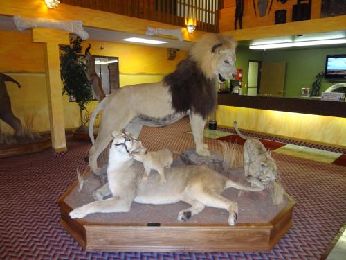 Kings Inn Cody - photo 48