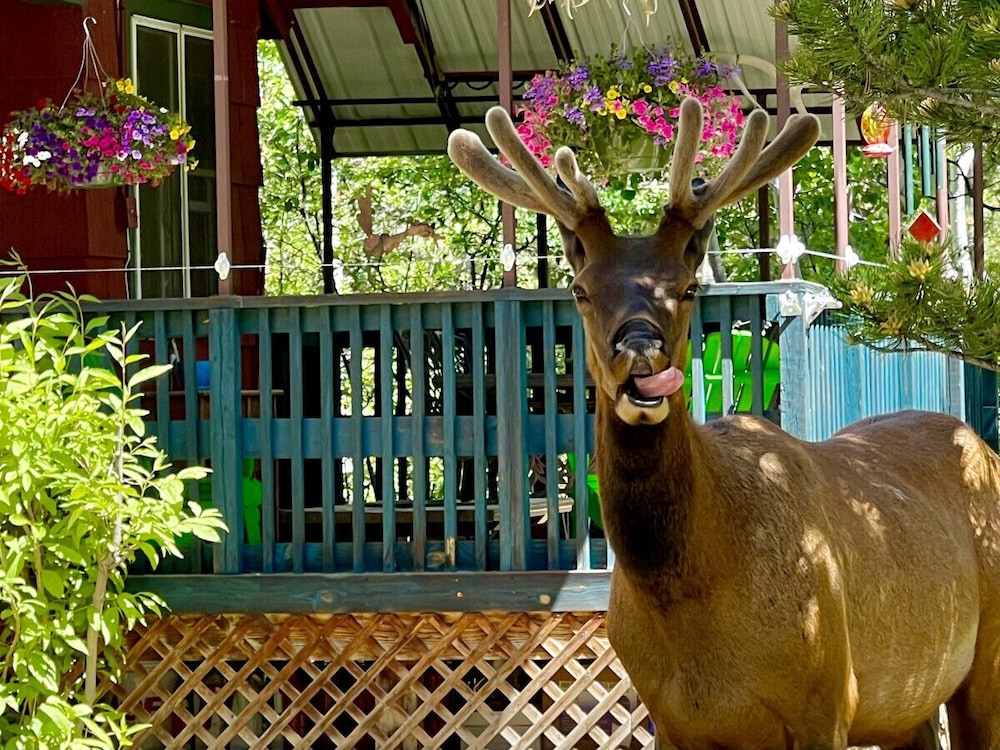 The Woolly Bugger Inn - photo 145