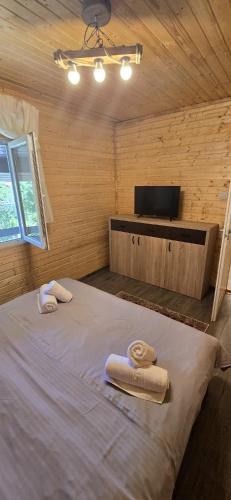 Cabanele din padure in Eselnita, Romania