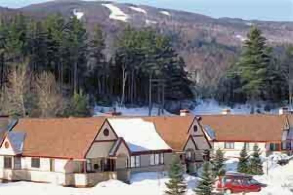 Townhomes at Bretton Woods - photo 35