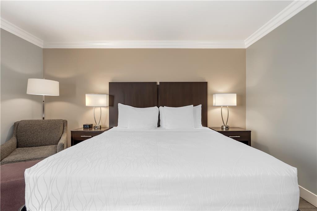 Best Western Plus LA Mid Town Hotel - photo 21