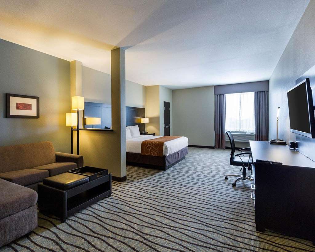 Comfort Suites near Westchase on Beltway 8 - photo 17