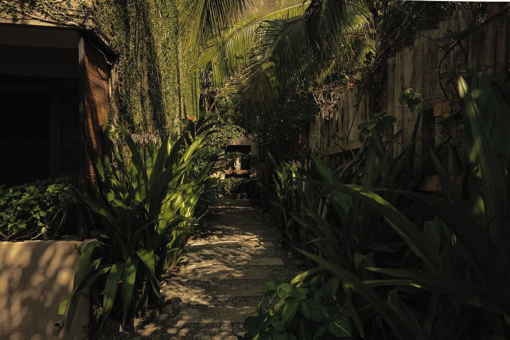 Lo Sereno Casa de Playa — Ixtapa-Zihuatanejo — photo 2