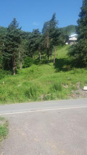 Guesthouse Gama in Khevsureti
