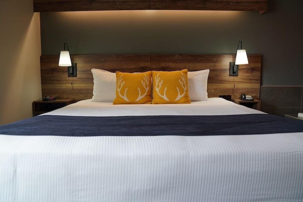 Hotel Ruby Ponderay Sandpoint - photo 12