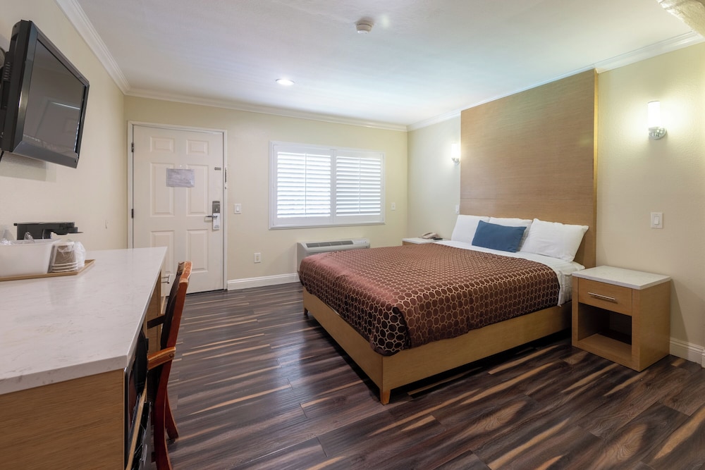 Hollywood City Inn - photo 7