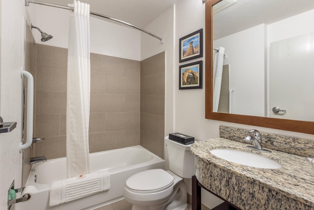 Comfort Inn & Suites Aztec Farmington Area - photo 33