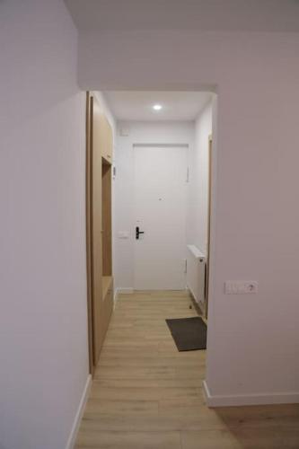 Newly Renovated Apartment in the Heart of Tbilisi