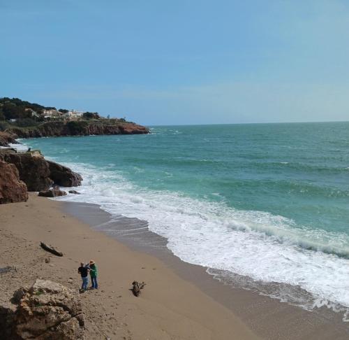 Studio de Plage - carbon neutral hotel in Sete