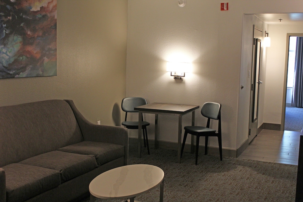 Buena Vista Suites Orlando - photo 16