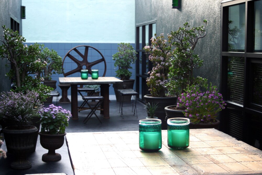 Palihotel Melrose - photo 28