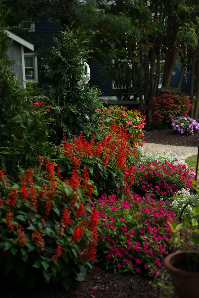 Borland House Inn - photo 79