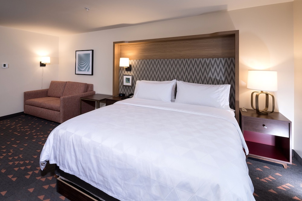 Holiday Inn & Suites Detroit Troy by IHG - photo 8
