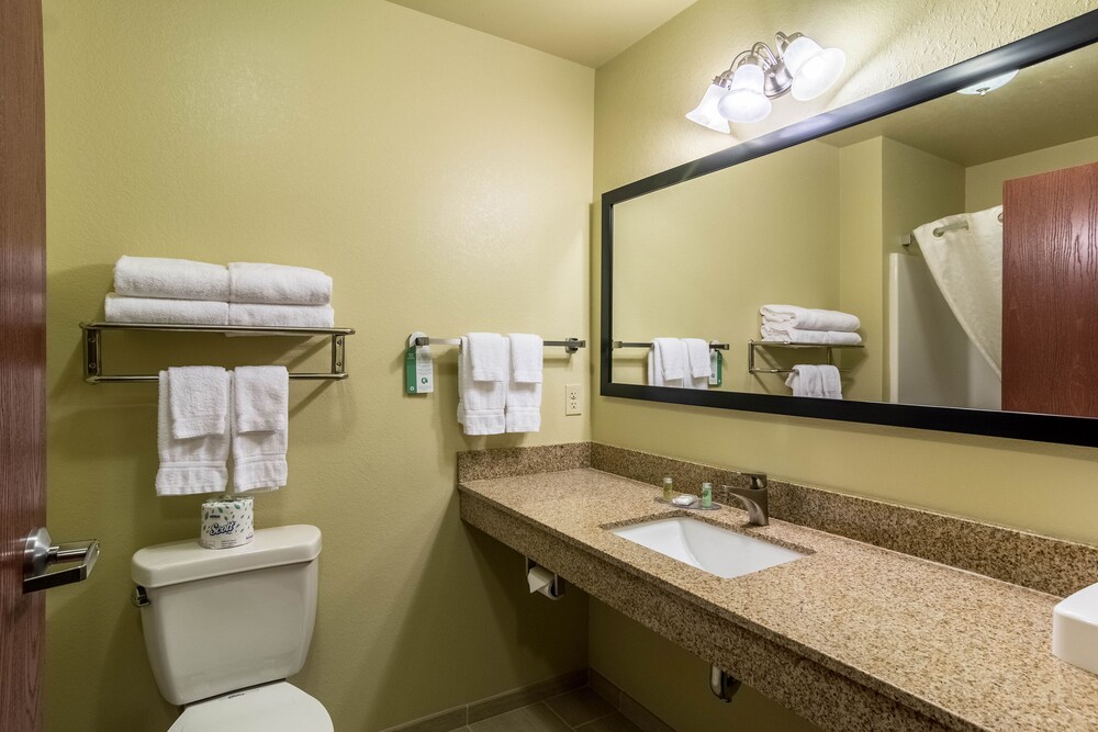 Cobblestone Hotel & Suites Harborcreek - photo 11