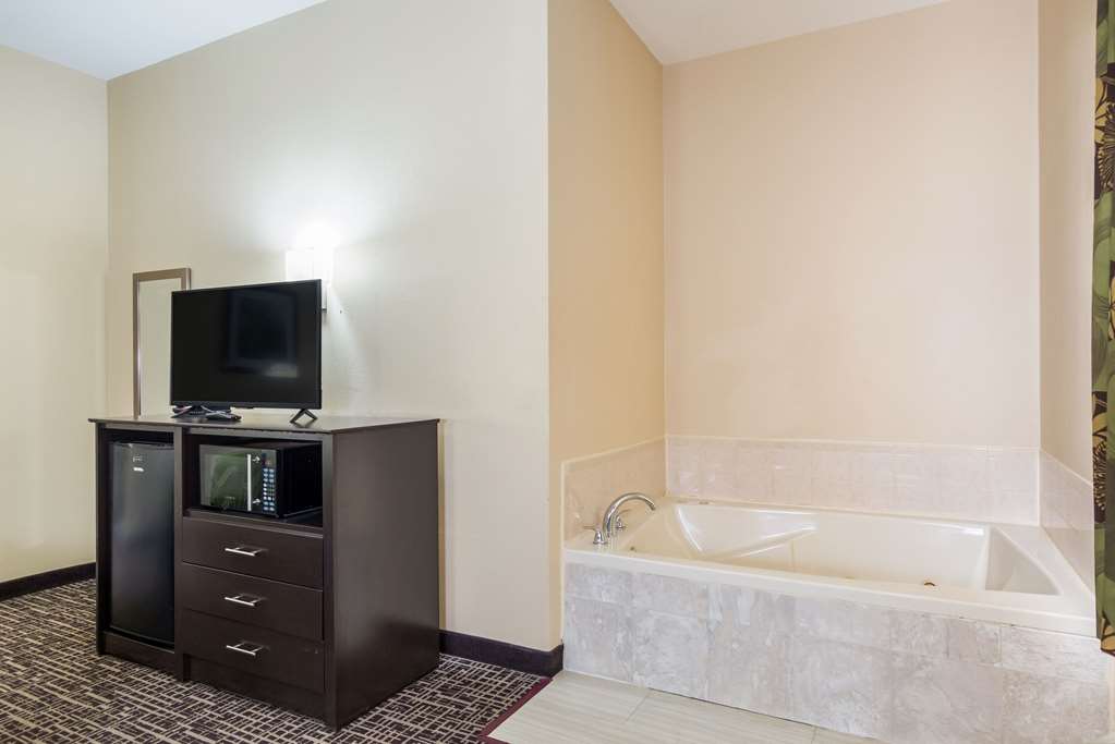 Quality Inn & Suites Caseyville St. Louis - photo 23