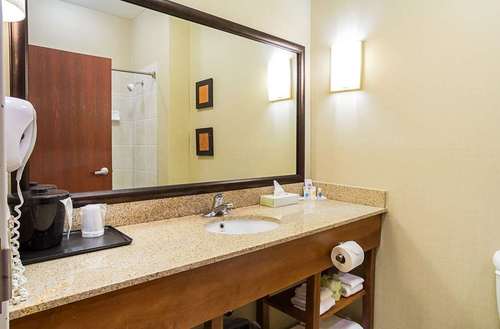 Comfort Suites Twinsburg - photo 10
