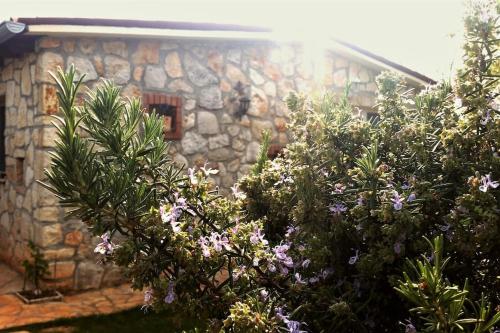 Our Stone Corner in Rovinj, Croatia