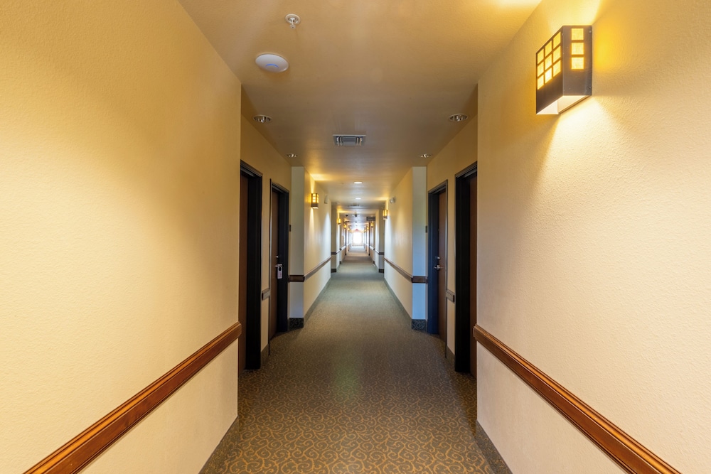 Hotel Texas - photo 41