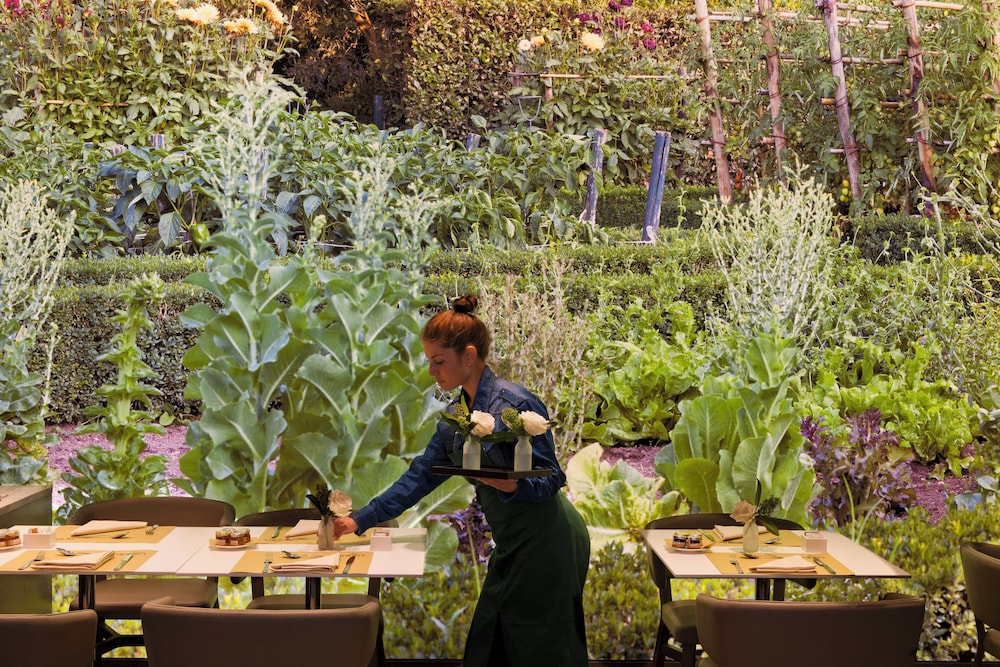 מזון ומשקאות