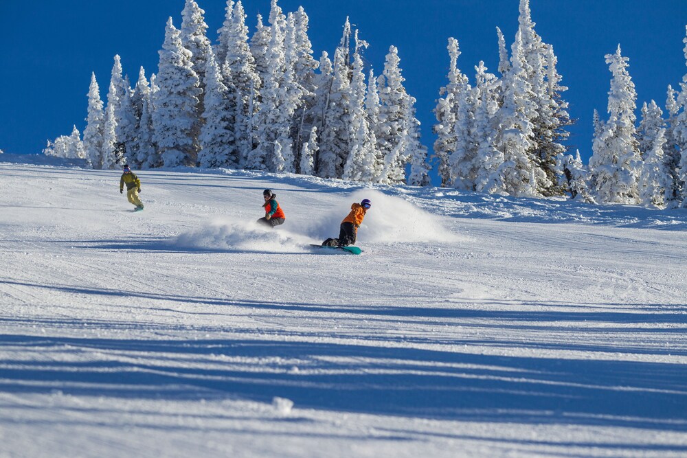 Teewinot Lodge by Grand Targhee Resort - photo 33