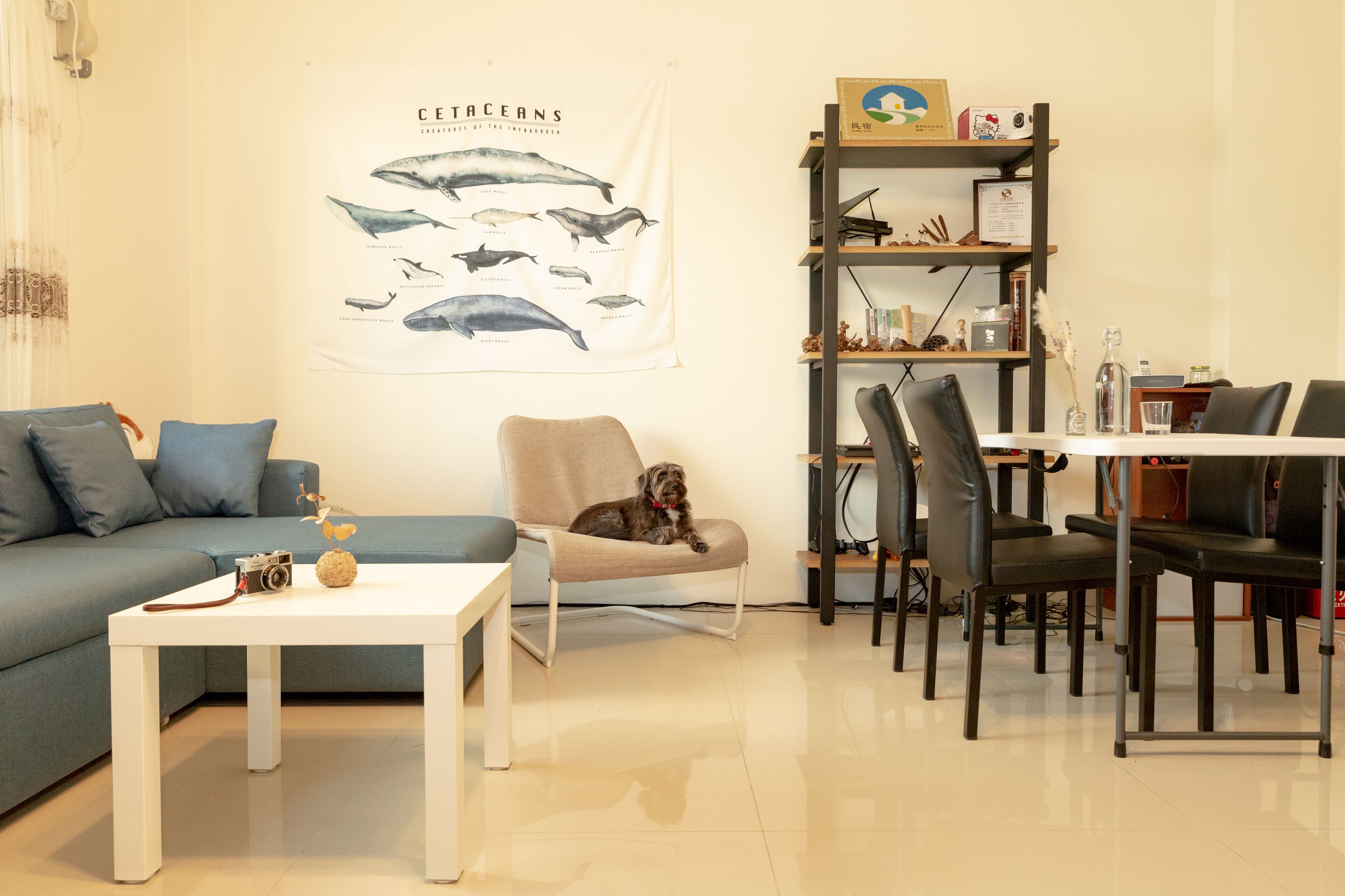 The Kite - carbon neutral hotel in Taitung