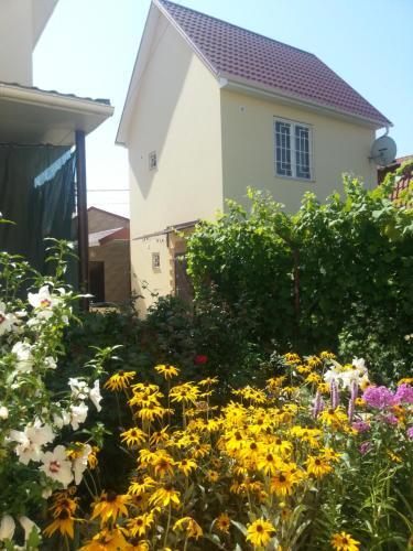 L225 - last minute hotel in Zatoka