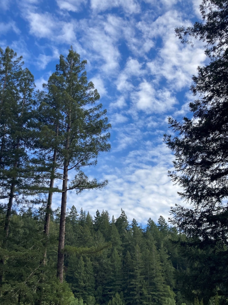 The Stavrand Russian River Valley - photo 25