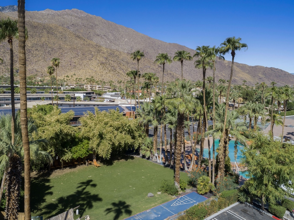 Caliente Tropics Hotel - photo 105