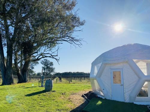 Coonawarra Hampton Bubble 2 — Unknown City — photo 4
