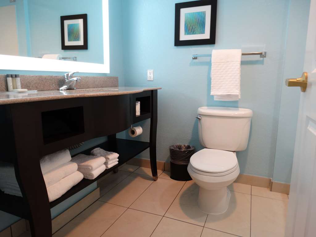 Best Western Plus Orlando Lake Buena Vista South Inn & Suites - photo 20