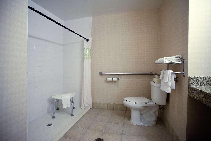 Hampton Inn Carrollton - photo 20