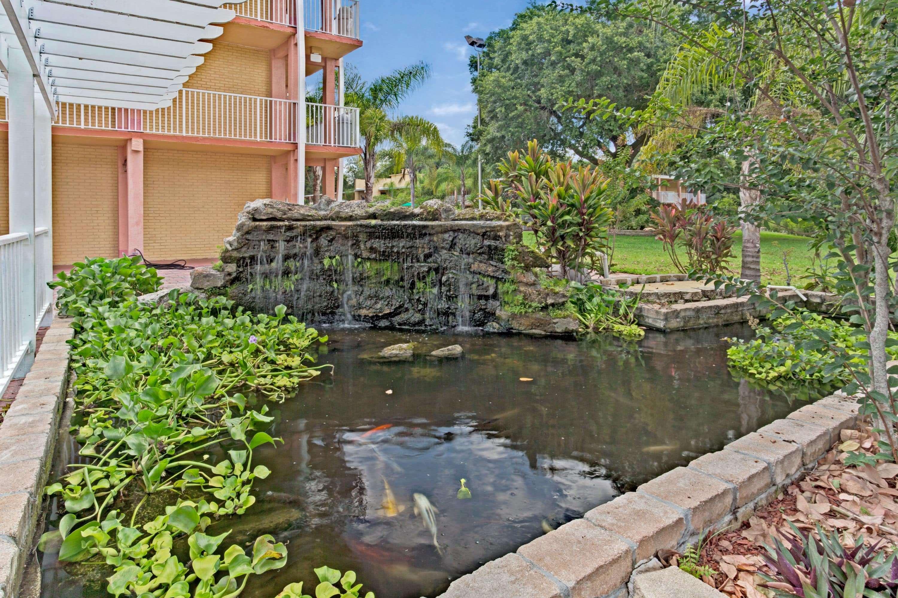 Howard Johnson Inn Tropical Palms Kissimmee - photo 12