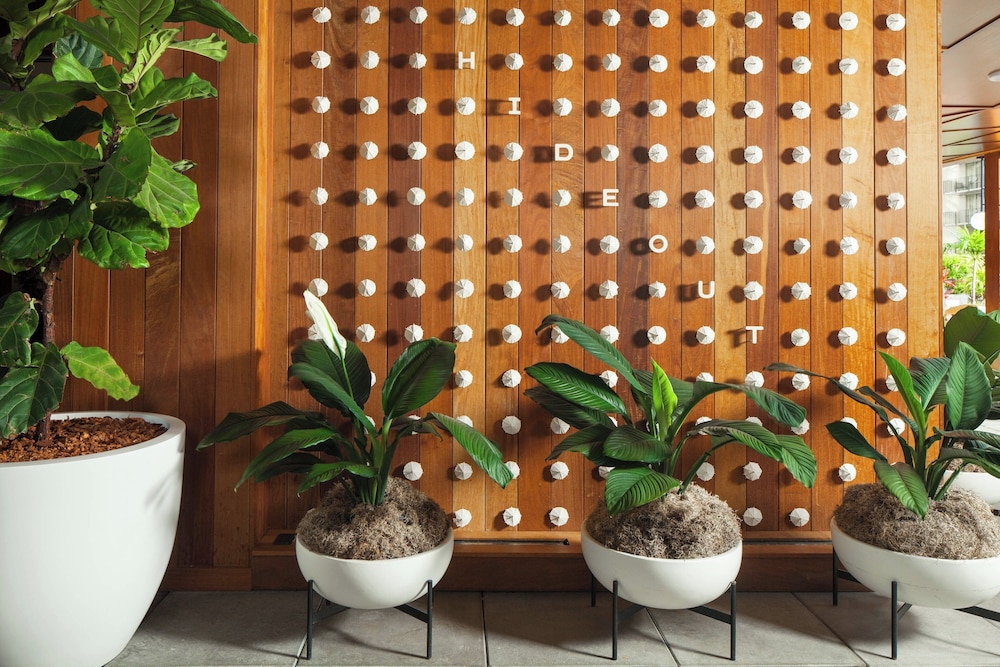 The Laylow Waikiki Autograph Collection - photo 56
