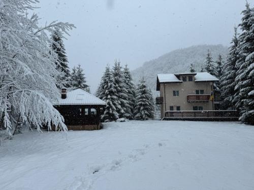 Cabana Zip in Zarnesti, Romania