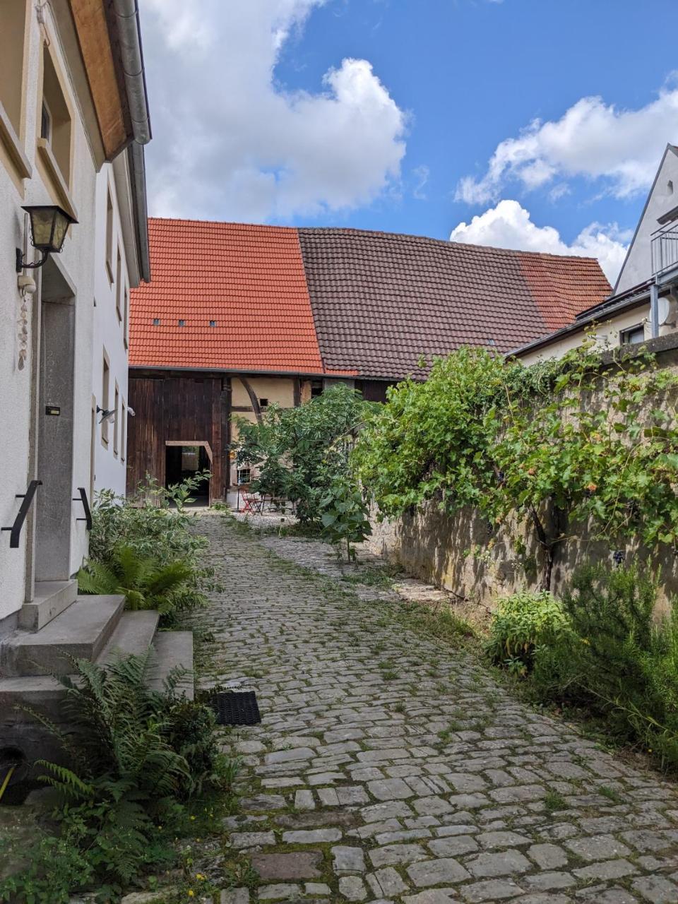 Wohnen am Main 1a ammain — Margetshochheim — photo 4