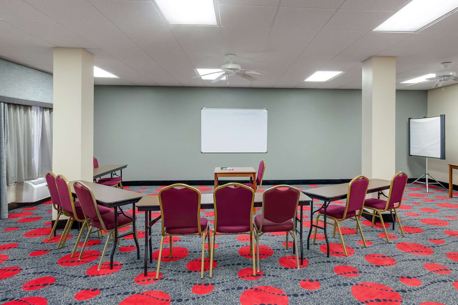 SureStay Plus Hotel by Best Western Houston Medical Center - photo 23