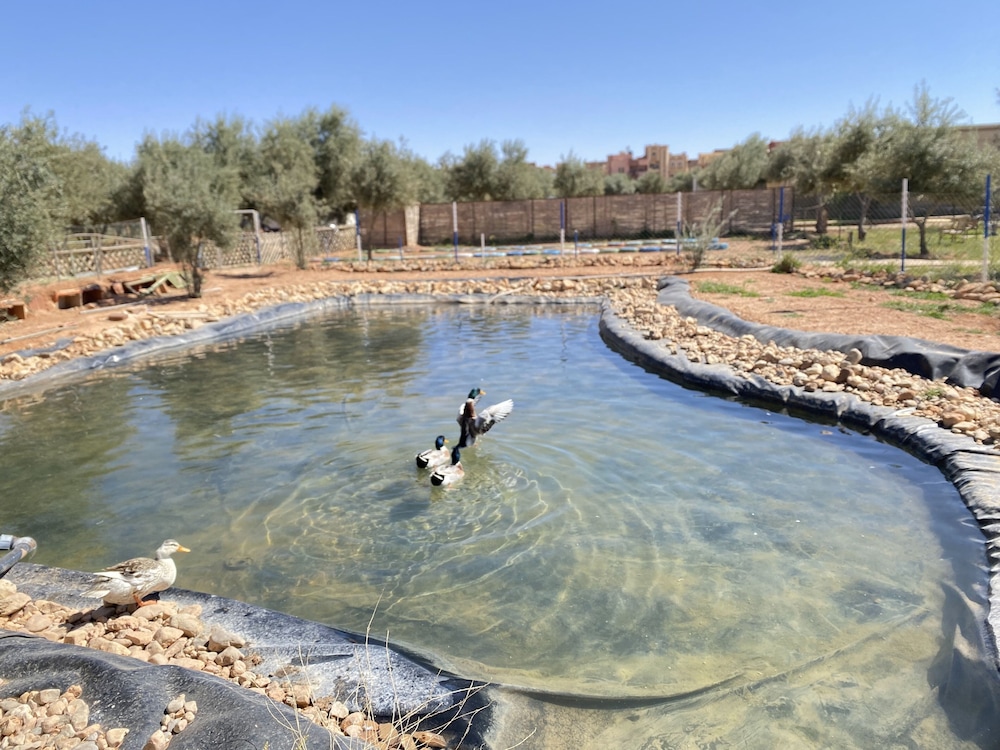 Ighiz Inn Resort in Errachidia, Morocco